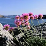 Kuvagen 23 Casa vacanze *