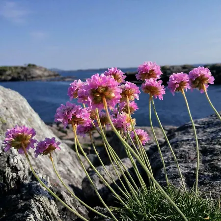 Hébergement de vacances Kuvagen 23