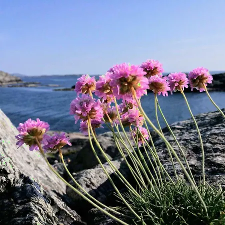 Kuvagen 23 Hébergement de vacances *