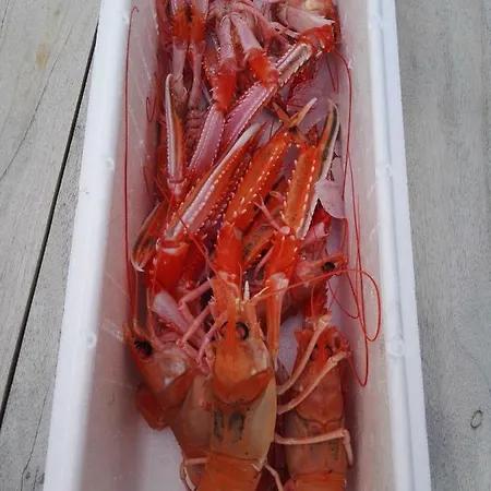 Kuvagen 23 Vakantiehuis *