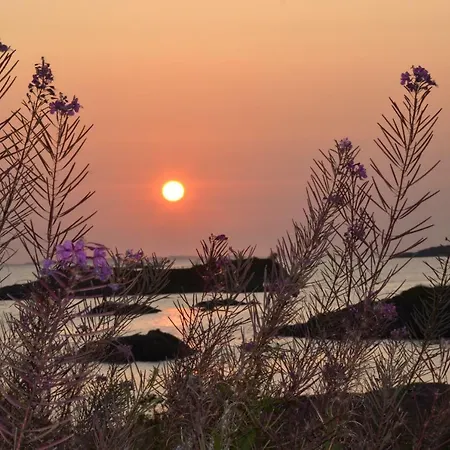 Kuvagen 23 * Vågenes